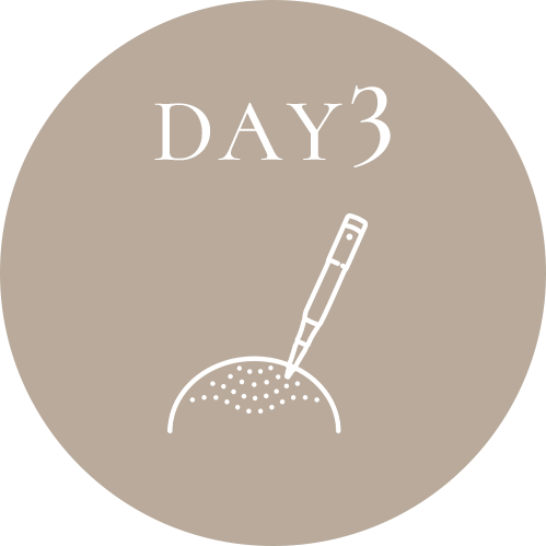 DAY3