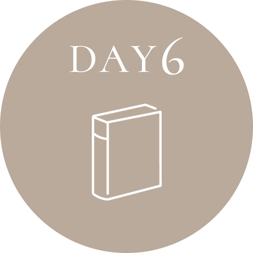 DAY6