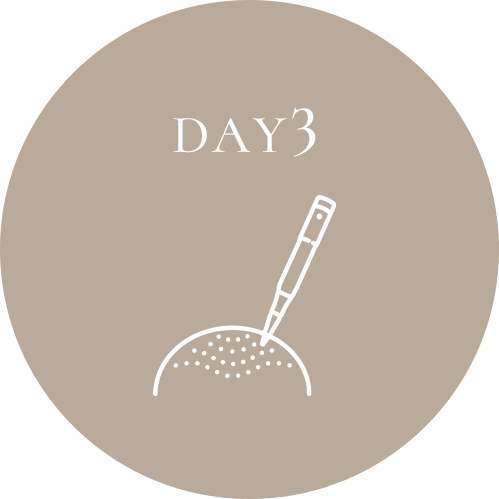 DAY3